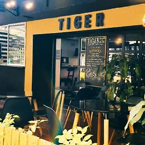 tiger-hostal.colombiamedellinhotels.com/