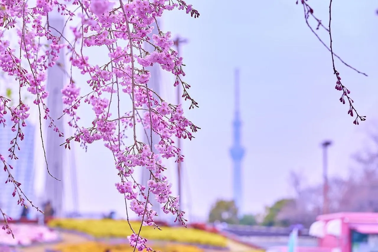 ****  Tokyo Bay Shiomi Prince Hotel Japan